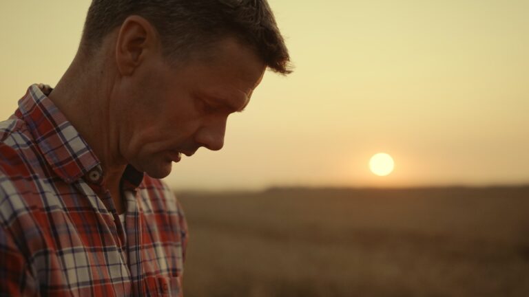 Agrarian man worker analyzing grains at sunrise wheat field. Harvest concept
