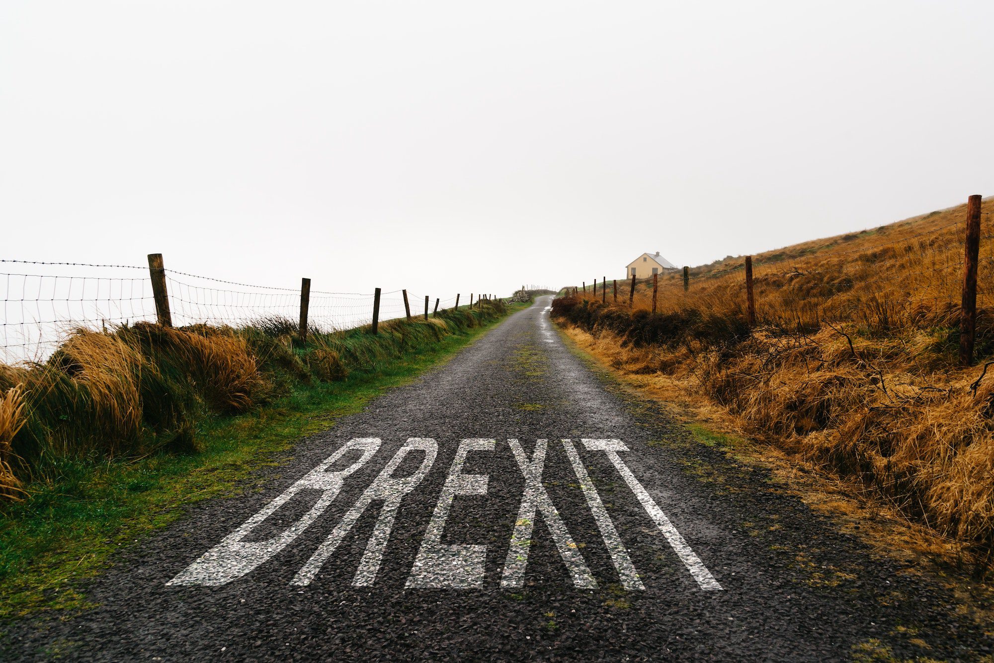 Road marking with the word Brexit painted